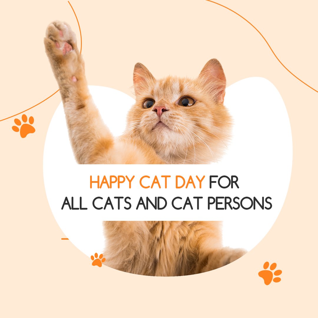 Happy cat day artwork with an orange cat.